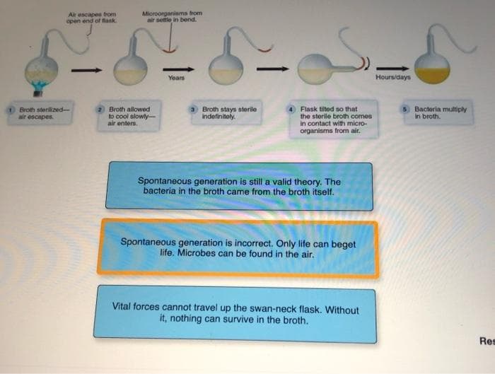 Microorganiems from
air setle in bend.
Air escapes from
open end of flask.
Years
Hours/days
2 Broth allowed
to cool slowly
air enters.
3 Broth stays sterile
indefinitely.
4 Flask tiltod so that
the sterile broth comes
in contact with micro-
organisms from air.
Broth sterilized-
air escapes.
Bacteria multiply
In broth.
Spontaneous generation is still a valid theory. The
bacteria in the broth came from the broth itself.
Spontaneous generation is incorrect. Only life can beget
life. Microbes can be found in the air.
Vital forces cannot travel up the swan-neck flask. Without
it, nothing can survive in the broth.
Res
