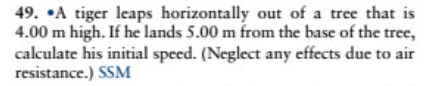 49. •A tiger leaps horizontally out of a tree that is
4.00 m high. If he lands 5.00 m from the base of the tree,
calculate his initial speed. (Neglect any effects due to air
resistance.) SSM
