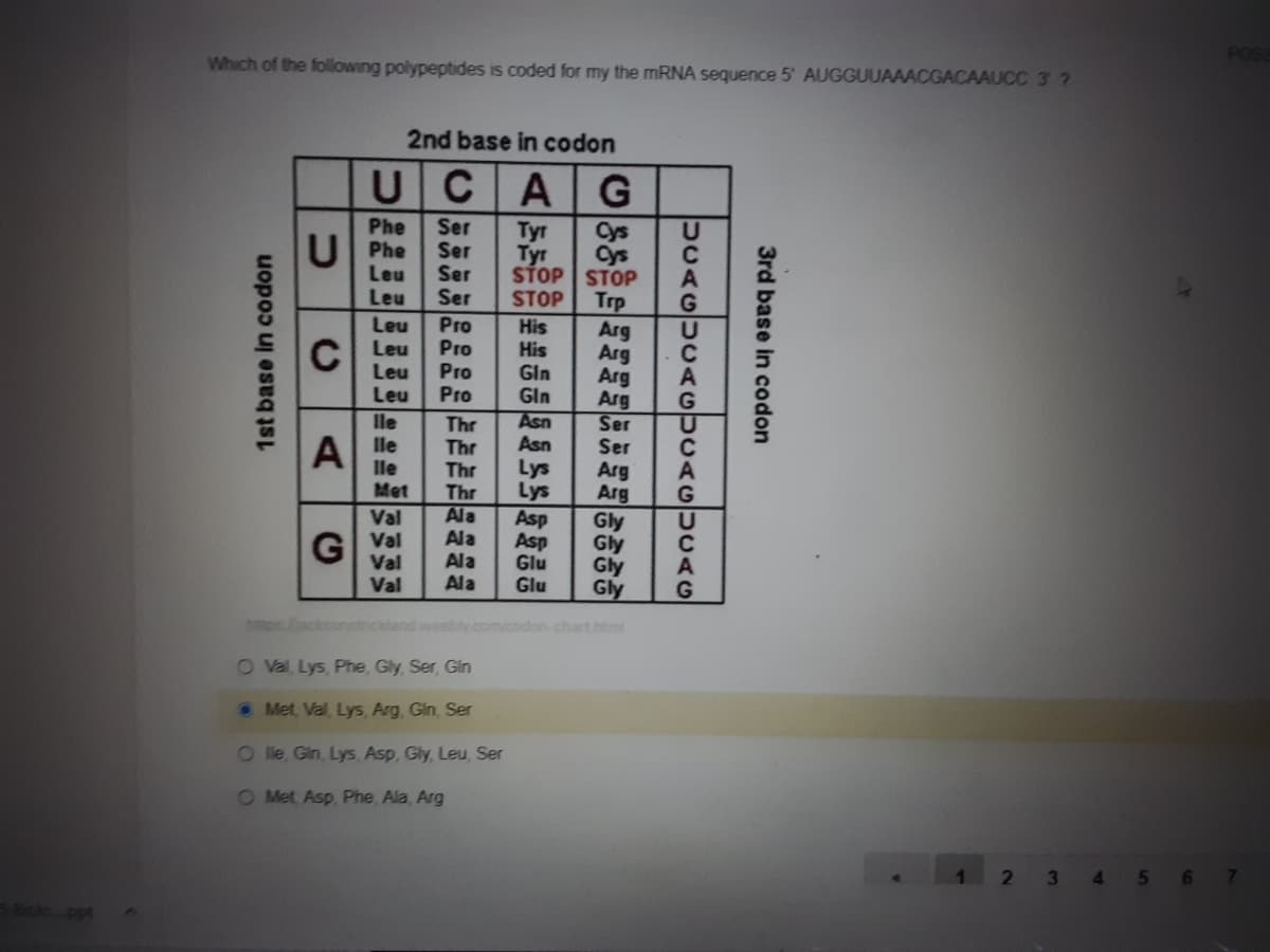 Which of the following polypeptides is coded for my the MRNA sequence 5' AUGGUUAAACGACAAUCC 3 ?
POS
2nd base in codon
C
Phe
Ser
Ser
Ser
Ser
Cys
Cys
STOP STOP
Trp
Arg
Arg
Arg
Arg
Ser
U Phe
Leu
Tyr
Tyr
C
Leu
STOP
G
Pro
Pro
Pro
Pro
Leu
C Leu
Leu
Leu
His
His
Gln
U
C
Gln
Asn
Asn
lle
Thr
Thr
Thr
Thr
Ala
Ala
Al le
lle
Met
Ser
Lys
Lys
Asp
Asp
Glu
Glu
Arg
Arg
Gly
Gly
Gly
Gly
A
Val
U
G Val
Val
Ala
Ala
Val
G
onstncidand.woebly.com/codon-chart.html
O Val Lys, Phe, Gly Ser, Gin
Met, Val, Lys, Arg, Gin, Ser
O le, Gin, Lys, Asp, Gly, Leu, Ser
O Met Asp Phe Ala, Arg
4 567
1st base in codon
3rd base in codon
