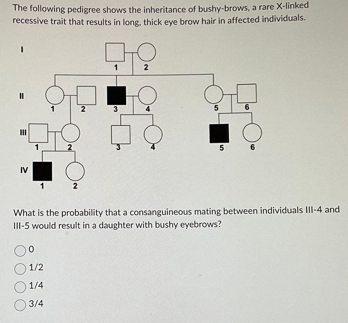 The following pedigree shows the inheritance of bushy-brows, a rare X-linked
recessive trait that results in long, thick eye brow hair in affected individuals.
I
11
IV
1
1
1
0
1/2
1/4
3/4
2
2
2
1
3
3
2
4
5
5
6
6
What is the probability that a consanguineous mating between individuals III-4 and
III-5 would result in a daughter with bushy eyebrows?