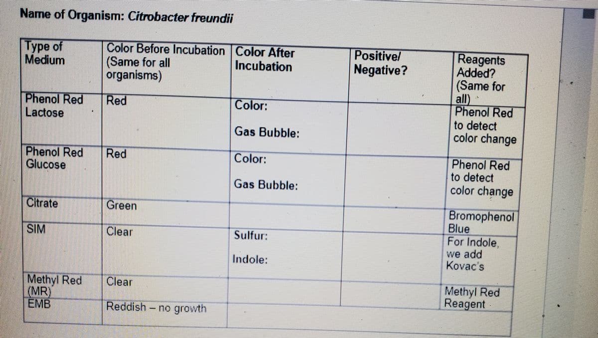 Name of Organism: Citrobacter freundii
Туре of
Medium
Color Before Incubation Color After
(Same for all
organisms)
Positivel
Negative?
Reagents
Added?
(Same for
all)
Phenol Red
to detect
color change
Incubation
Phenol Red
Lactose
Red
Color:
Gas Bubble:
Phenol Red
Glucose
Red
Phenol Red
to detect
color change
Color:
Gas Bubble:
Citrate
Bromophenol
Blue
For Indole,
we add
Kovac's
Green
SIM
Clear
Sulfur:
Indole:
Methyl Red
(MR)
EMB
Methyl Red
Reagent
Clear
Reddish - no growth
