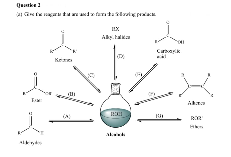 Question 2
(a) Give the reagents that are used to form the following products.
RX
Alkyl halides
R-
HO
Carboxylic
acid
R-
R'
(D)
Ketones
(E)
R
R-
OR'
(В)
(F)
R
Ester
Alkenes
ROH
(A)
(G)
ROR'
Ethers
R
H.
Alcohols
Aldehydes
