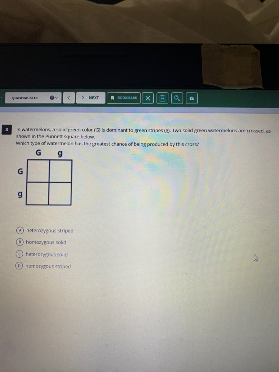 Question 8/18
>
NEXT
A BOOKMARK
8
In watermelons, a solid green color (G) is dominant to green stripes (g). Two solid green watermelons are crossed, as
shown in the Punnett square below.
Which type of watermelon
the greatest chance of being produced by this cross?
G g
g
heterozygous striped
homozygous solid
heterozygous solid
D homozygous striped
