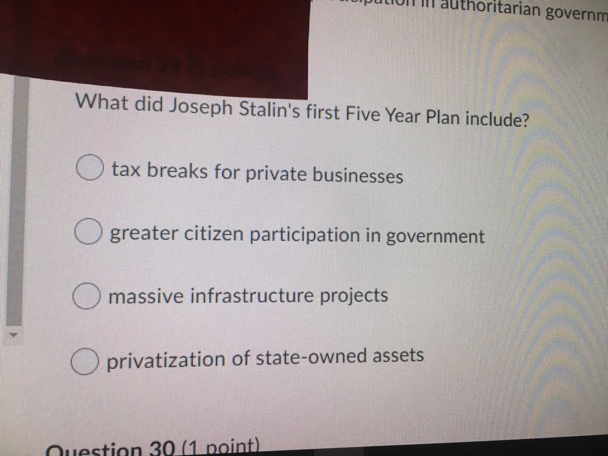 ritarian governm
What did Joseph Stalin's first Five Year Plan include?
O tax breaks for private businesses
O greater citizen participation in government
massive infrastructure projects
O privatization of state-owned assets
Question 30 (1 point).
