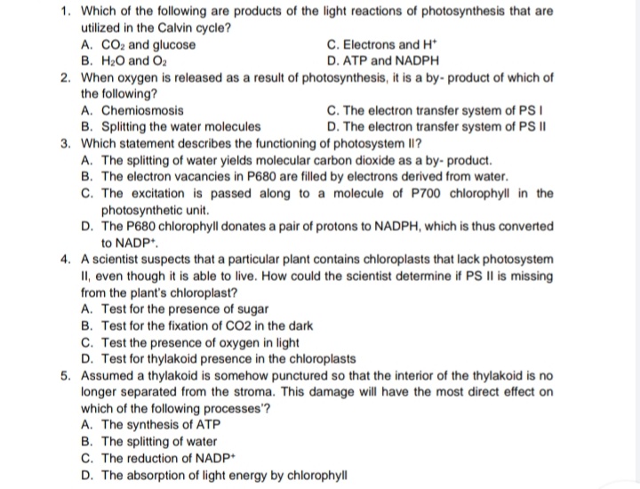 1. Which of the following are products of the light reactions of photosynthesis that are
utilized in the Calvin cycle?
A. CO2 and glucose
C. Electrons and H*
B. H20 and O2
D. ATP and NADPH
2. When oxygen is released as a result of photosynthesis, it is a by- product of which of
the following?
A. Chemiosmosis
C. The electron transfer system of PS I
D. The electron transfer system of PS I|
B. Splitting the water molecules
3. Which statement describes the functioning of photosystem I1?
A. The splitting of water yields molecular carbon dioxide as a by- product.
B. The electron vacancies in P680 are filled by electrons derived from water.
C. The excitation is passed along to a molecule of P700 chlorophyll in the
photosynthetic unit.
D. The P680 chlorophyll donates a pair of protons to NADPH, which is thus converted
to NADP*.
4. A scientist suspects that a particular plant contains chloroplasts that lack photosystem
II, even though it is able to live. How could the scientist determine if PS II is missing
from the plant's chloroplast?
A. Test for the presence of sugar
B. Test for the fixation of CO2 in the dark
C. Test the presence of oxygen in light
D. Test for thylakoid presence in the chloroplasts
5. Assumed a thylakoid is somehow punctured so that the interior of the thylakoid is no
longer separated from the stroma. This damage will have the most direct effect on
which of the following processes'?
A. The synthesis of ATP
B. The splitting of water
C. The reduction of NADP*
D. The absorption of light energy by chlorophyll
