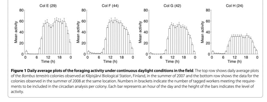Col E (29)
60
80
60
80
Col F (44)
60
60
40
Mean activity
Col G (42)
60
80
80
60
60
40
40
Mean activity
60
60
40
Mean activity
Col H (24)
20
0
12 18 0
Time (h)
20
6
12 18 0
Time (h)
°
20
12 18 0
Time (h)
20
20
6 12 18 0
Time (h)
Figure 1 Daily average plots of the foraging activity under continuous daylight conditions in the field. The top row shows daily average plots
of the Bombus terrestris colonies observed at Kilpisjärvi Biological Station, Finland, in the summer of 2007 and the bottom row shows the data for the
colonies observed in the summer of 2008 at the same location. Numbers in brackets indicate the number of tagged workers meeting the require-
ments to be included in the circadian analysis per colony. Each bar represents an hour of the day and the height of the bars indicates the level of
activity.
60
60
40
40
Mean activity