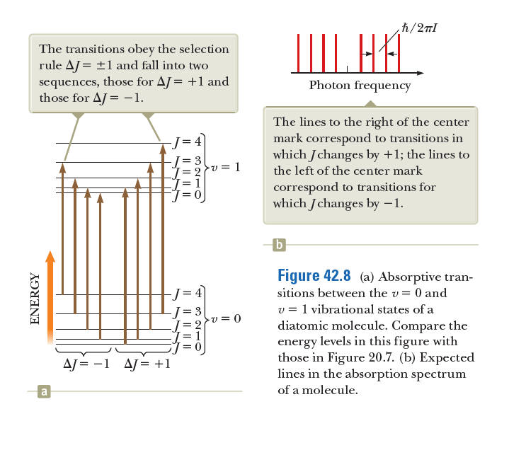 h/2nl
The transitions obey the selection
rule AJ = ±1 and fall into two
sequences, those for AJ= +1 and
those for AJ = -1.
IIII. HA.
Photon frequency
The lines to the right of the center
mark correspond to transitions in
which Jchanges by +1; the lines to
-J= 4
= 3
v = 1
the left of the center mark
correspond to transitions for
which Jchanges by –1.
b
Figure 42.8 (a) Absorptive tran-
-J= 4
sitions between the v= 0 and
v = 1 vibrational states of a
diatomic molecule. Compare the
energy levels in this figure with
those in Figure 20.7. (b) Expected
lines in the absorption spectrum
-v = 0
AJ = -1 AJ= +1
a
of a molecule.
IL || |||
I| || || ||
ENERGY
