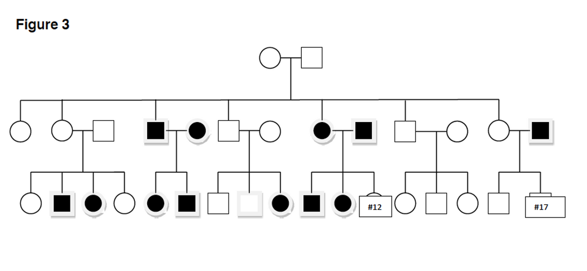 Figure 3
#12
#17
