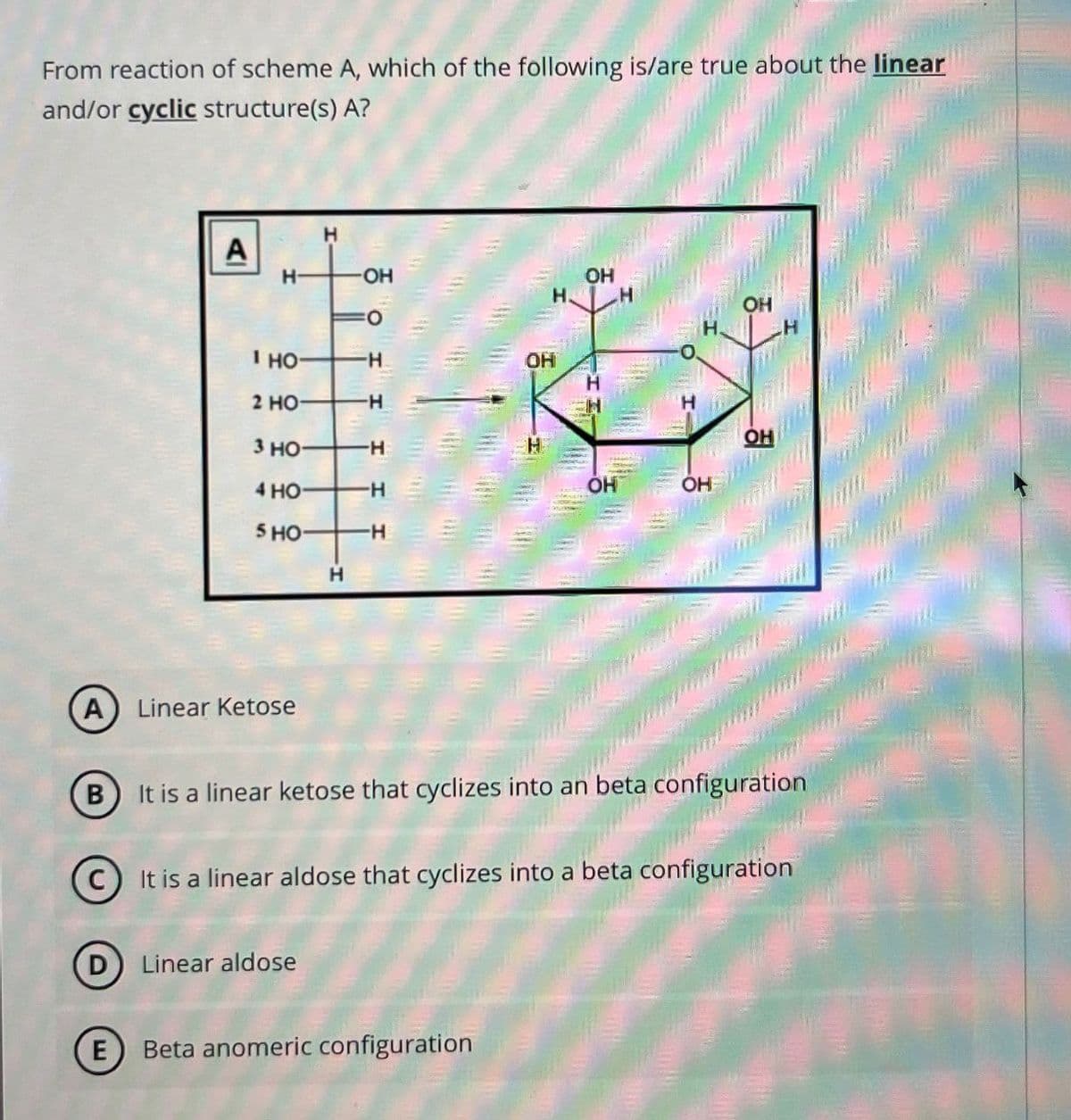 From reaction of scheme A, which of the following is/are true about the linear
and/or cyclic structure(s) A?
A
H
H-
-OH
OH
OH
CO
I HO
H.
OH
H
2 HO-
-H
I
OH
3 HO-
-H
4 HO-
-H
OH
OH
5 HO-
-H
H
(A) Linear Ketose
B) It is a linear ketose that cyclizes into an beta configuration
©
It is a linear aldose that cyclizes into a beta configuration
(D) Linear aldose
E
Beta anomeric configuration