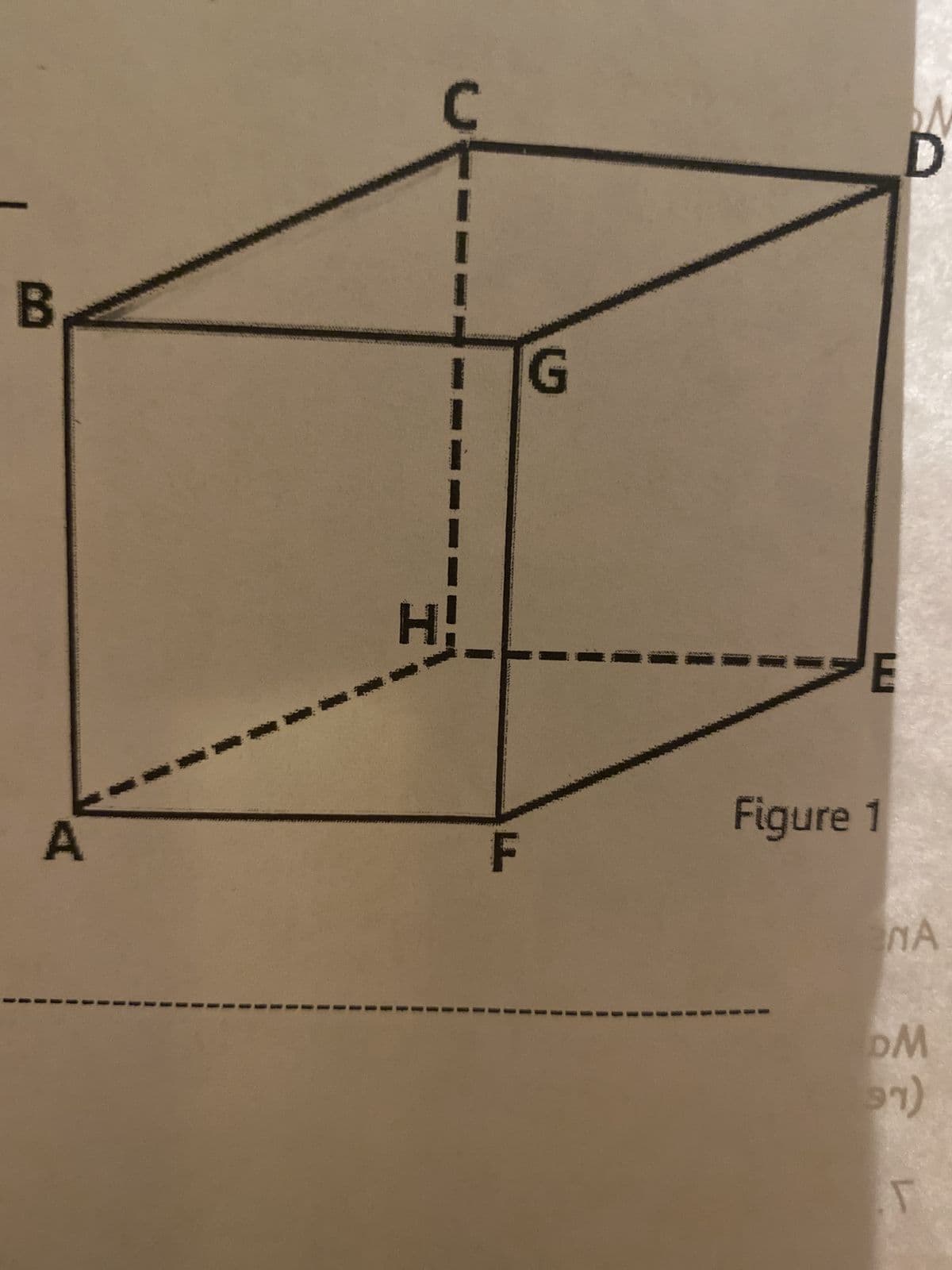 B
A
H
C
G
E
Figure 1
D
NA
DM
T