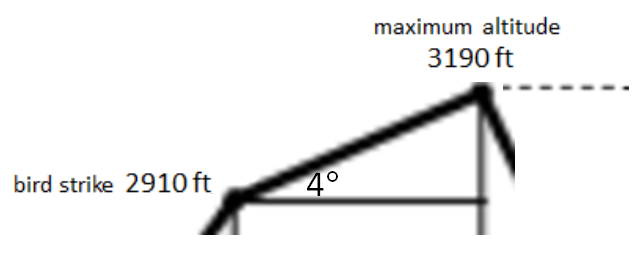 maximum altitude
3190 ft
bird strike 2910 ft
4°
