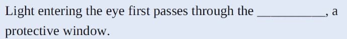Light entering the eye first passes through the
protective window.
a