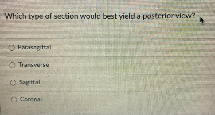 Which type of section would best yield a posterior view?
O Parasagittal
O Transverse
O Sagittal
O Coronal
