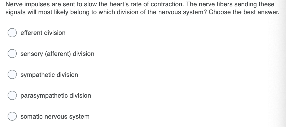 Nerve impulses are sent to slow the heart's rate of contraction. The nerve fibers sending these
signals will most likely belong to which division of the nervous system? Choose the best answer.
efferent division
sensory (afferent) division
sympathetic division
parasympathetic division
somatic nervous system
