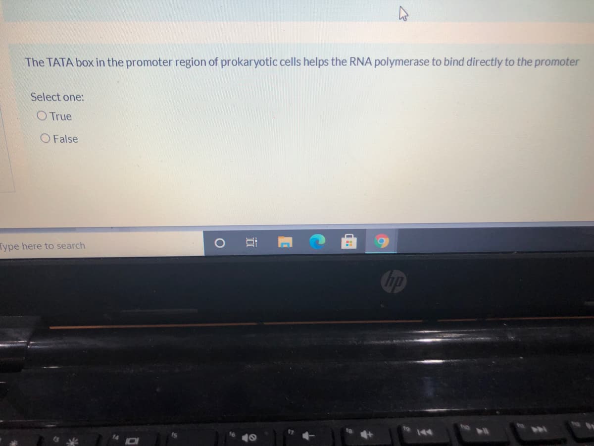 The TATA box in the promoter region of prokaryotic cells helps the RNA polymerase to bind directly to the promoter
Select one:
O True
O False
Type here to search
hp
144
