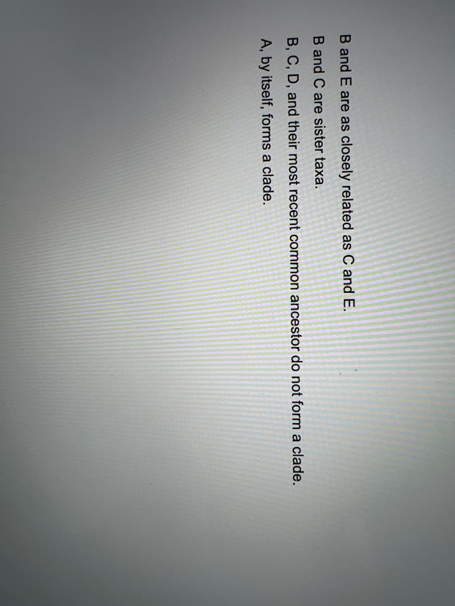 B and E are as closely related as C and E.
B and C are sister taxa.
B, C, D, and their most recent common ancestor do not form a clade.
A, by itself, forms a clade.
