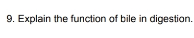 9. Explain the function of bile in digestion.
