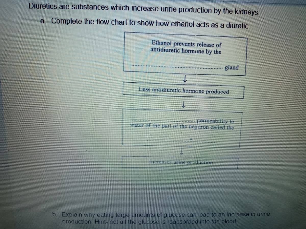 Diuretics are substances which increase urine production by the kidneys.
a. Complete the flow chart to show how ethanol acts as a diuretic
Ethanol prevents release of
antidiuretic hormone by the
gland
Less antidiuretic hormone produced
|ermeability to
water of the part of the neparon called the
Increases uine praductiOn
b Explain why eating large amounts of glucose can lead to an increase in urine
production, Hint- not all the glucose is reabsorbed into the blood.
