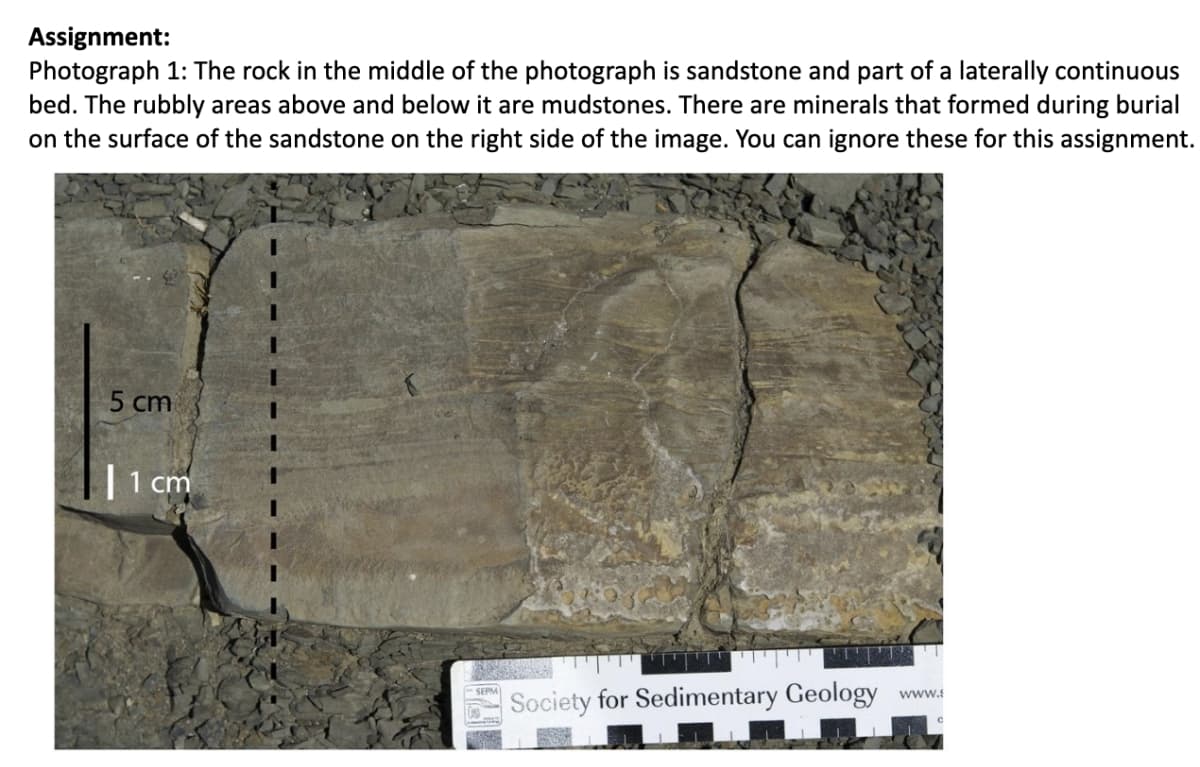 Assignment:
Photograph 1: The rock in the middle of the photograph is sandstone and part of a laterally continuous
bed. The rubbly areas above and below it are mudstones. There are minerals that formed during burial
on the surface of the sandstone on the right side of the image. You can ignore these for this assignment.
5 cm
cm
Society for Sedimentary Geology
www.