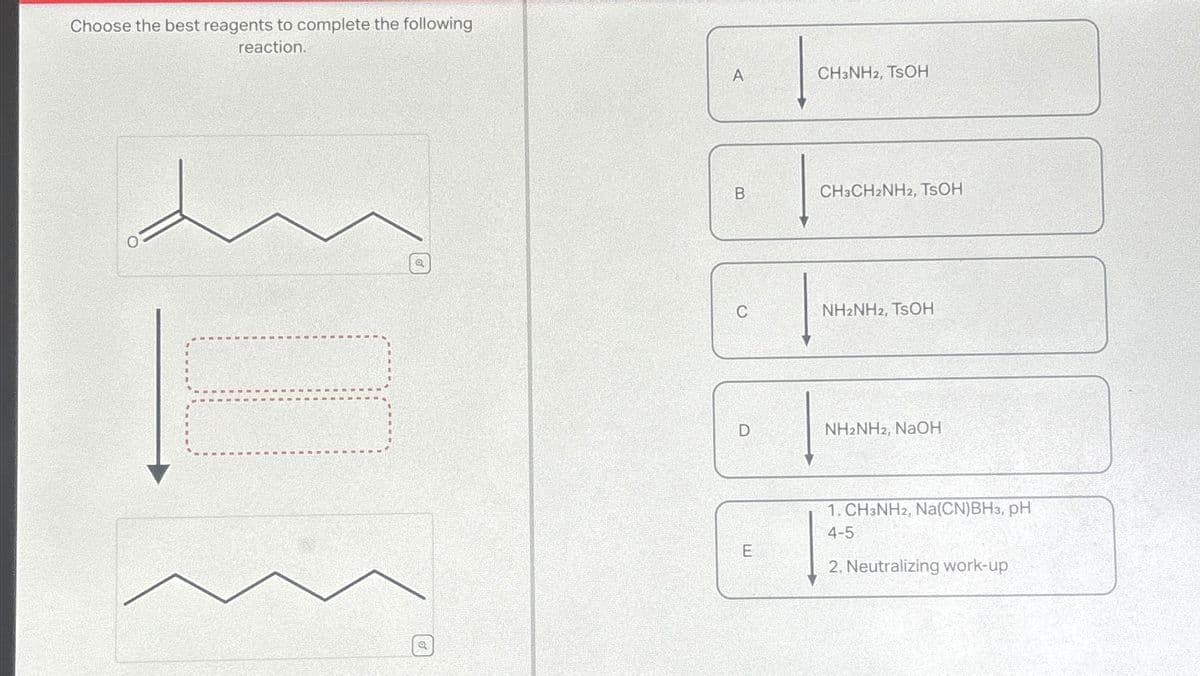 Choose the best reagents to complete the following
reaction.
10
A
B
C
D
E
CH3NH2, TSOH
CH3CH2NH2, TSOH
NH2NH2, TSOH
NH2NH2, NaOH
1. CH3NH2, Na(CN)BH3, pH
4-5
2. Neutralizing work-up