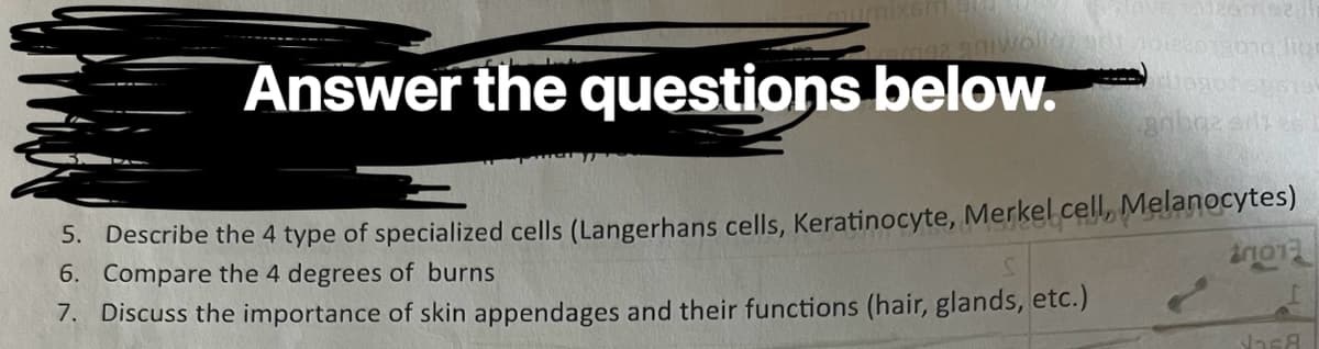 wolley adr
Answer the questions below.
26922
na liar
gribga sites
5. Describe the 4 type of specialized cells (Langerhans cells, Keratinocyte, Merkel cell, Melanocytes)
6. Compare the 4 degrees of burns
7. Discuss the importance of skin appendages and their functions (hair, glands, etc.)
20013
JasA