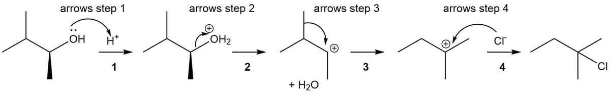 arrows step 1
OH
1
arrows step 2
COH ₂
2
arrows step 3
B
+ H₂O
3
arrows step 4
CI™
4
CI