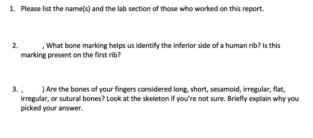 1. Please list the name(s) and the lab section of those who worked on this report.
2.
What bone marking helps us identify the inferior side of a human rib? Is this
marking present on the first rib?
3.
) Are the bones of your fingers considered long, short, sesamoid, irregular, flat,
irregular, or sutural bones? Look at the skeleton if you're not sure. Briefly explain why you
picked your answer.
