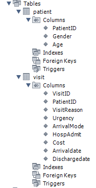 Tables
patient
Columns
PatientID
Gender
Age
Indexes
Foreign Keys
Triggers
visit
Columns
VisitID
PatientID
VisitReason
Urgency
ArrivalMode
HospAdmit
Cost
Arrivaldate
Dischargedate
Indexes
Foreign Keys
Triggers
