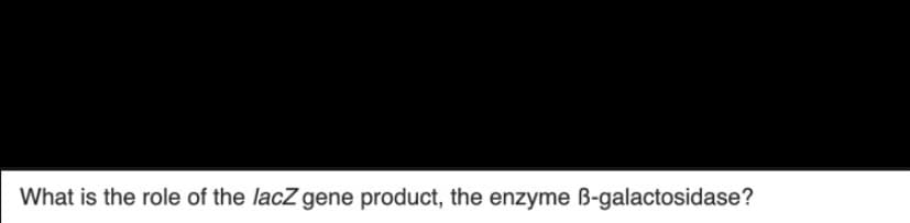 What is the role of the lacZ gene product, the enzyme B-galactosidase?
