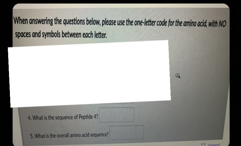 When answering the questions below, please use the one-letter code for the amino acid, with NO
spaces and symbols between each letter.
4. What is the sequence of Peptide 4?
5. What is the overall amino acid sequence?
Expand
