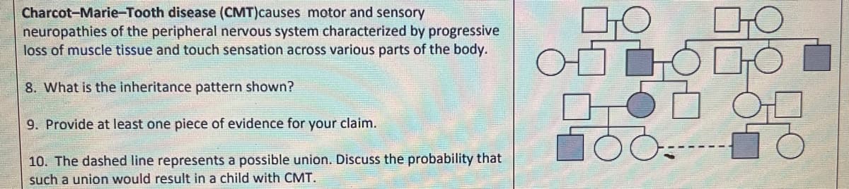 Charcot-Marie-Tooth disease (CMT)causes motor and sensory
neuropathies of the peripheral nervous system characterized by progressive
loss of muscle tissue and touch sensation across various parts of the body.
8. What is the inheritance pattern shown?
9. Provide at least one piece of evidence for your claim.
10. The dashed line represents a possible union. Discuss the probability that
such a union would result in a child with CMT.
