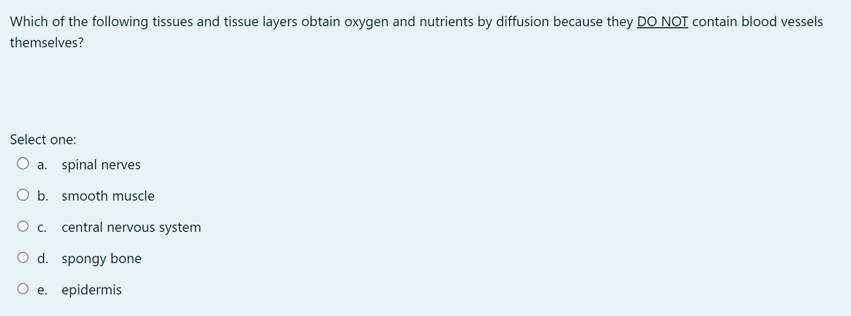 Which of the following tissues and tissue layers obtain oxygen and nutrients by diffusion because they DO NOT contain blood vessels
themselves?
Select one:
a. spinal nerves
b. smooth muscle
O c. central nervous system
d. spongy bone
e. epidermis