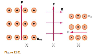 X в.
olo
Bou
(a)
(b)
(c)
Figure 22.51
