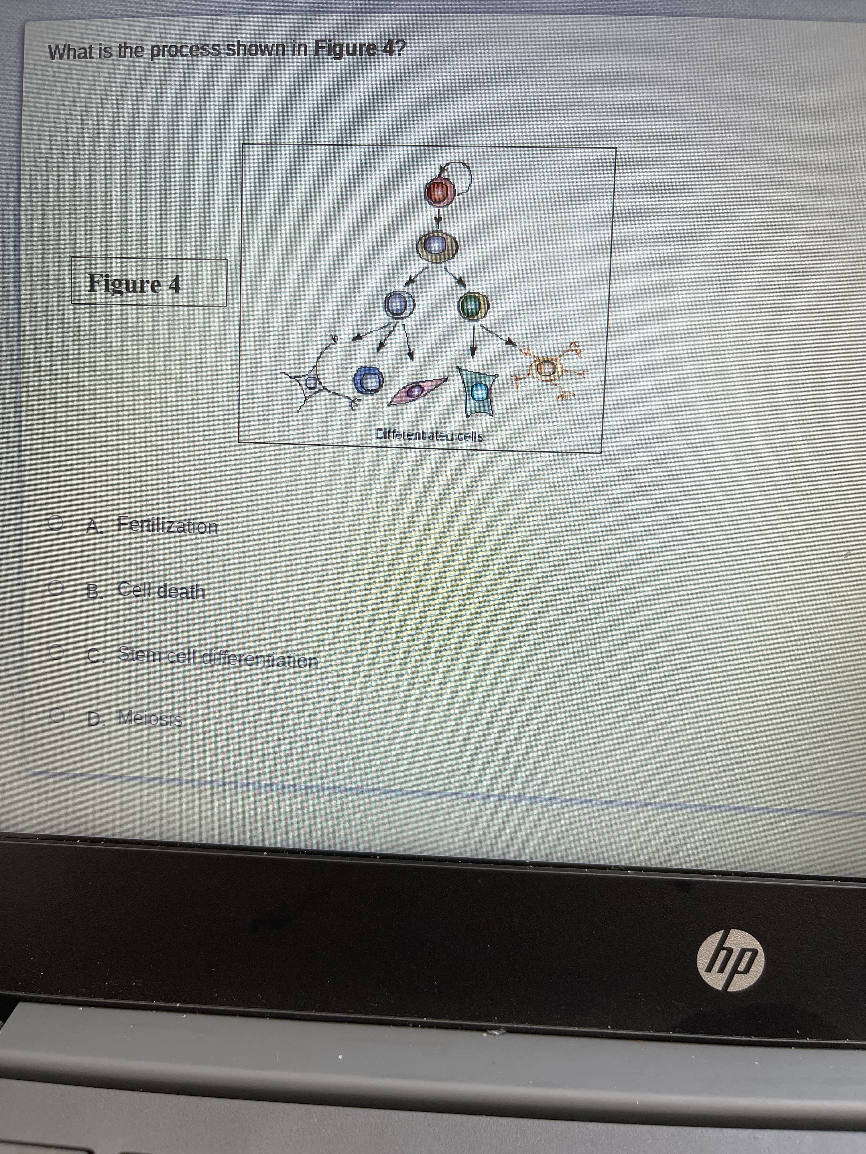 What is the process shown in Figure 4?
