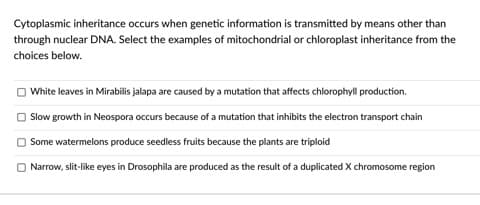 Cytoplasmic inheritance occurs when genetic information is transmitted by means other than
through nuclear DNA. Select the examples of mitochondrial or chloroplast inheritance from the
choices below.
White leaves in Mirabilis jalapa are caused by a mutation that affects chlorophyll production.
| Slow growth in Neospora occurs because of a mutation that inhibits the electron transport chain
Some watermelons produce seedless fruits because the plants are triploid
O Narrow, slit-like eyes in Drosophila are produced as the result of a duplicated X chromosome region
