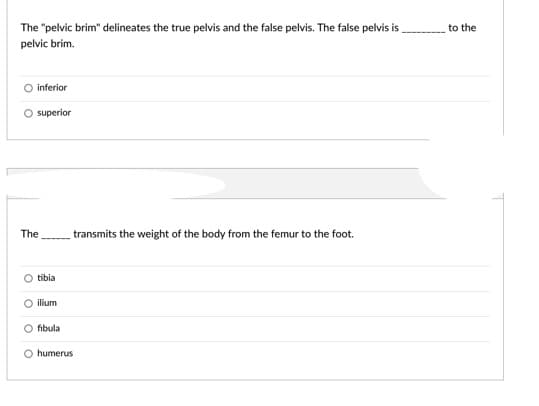 The "pelvic brim" delineates the true pelvis and the false pelvis. The false pelvis i
to the
pelvic brim.
inferior
superior
The
transmits the weight of the body from the femur to the foot.
tibia
ilium
fibula
humerus
