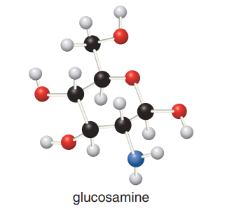 glucosamine
