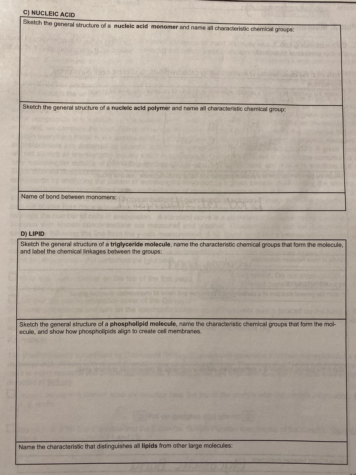 C) NUCLEIC ACID
Sketch the general structure of a nucleic acid monomer and name all characteristic chemical groups:
3131051
Sketch the general structure of a nucleic acid polymer and name all characteristic chemical group:
Name of bond between monomers:
on
D) LIPID
Sketch the general structure of a triglyceride molecule, name the characteristic chemical groups that form the molecule,
and label the chemical linkages between the groups:
esnio lis erosh bre
Imoning
Sketch the general structure of a phospholipid molecule, name the characteristic chemical groups that form the mol-
ecule, and show how phospholipids align to create cell membranes.
Name the characteristic that distinguishes all lipids from other large molecules: