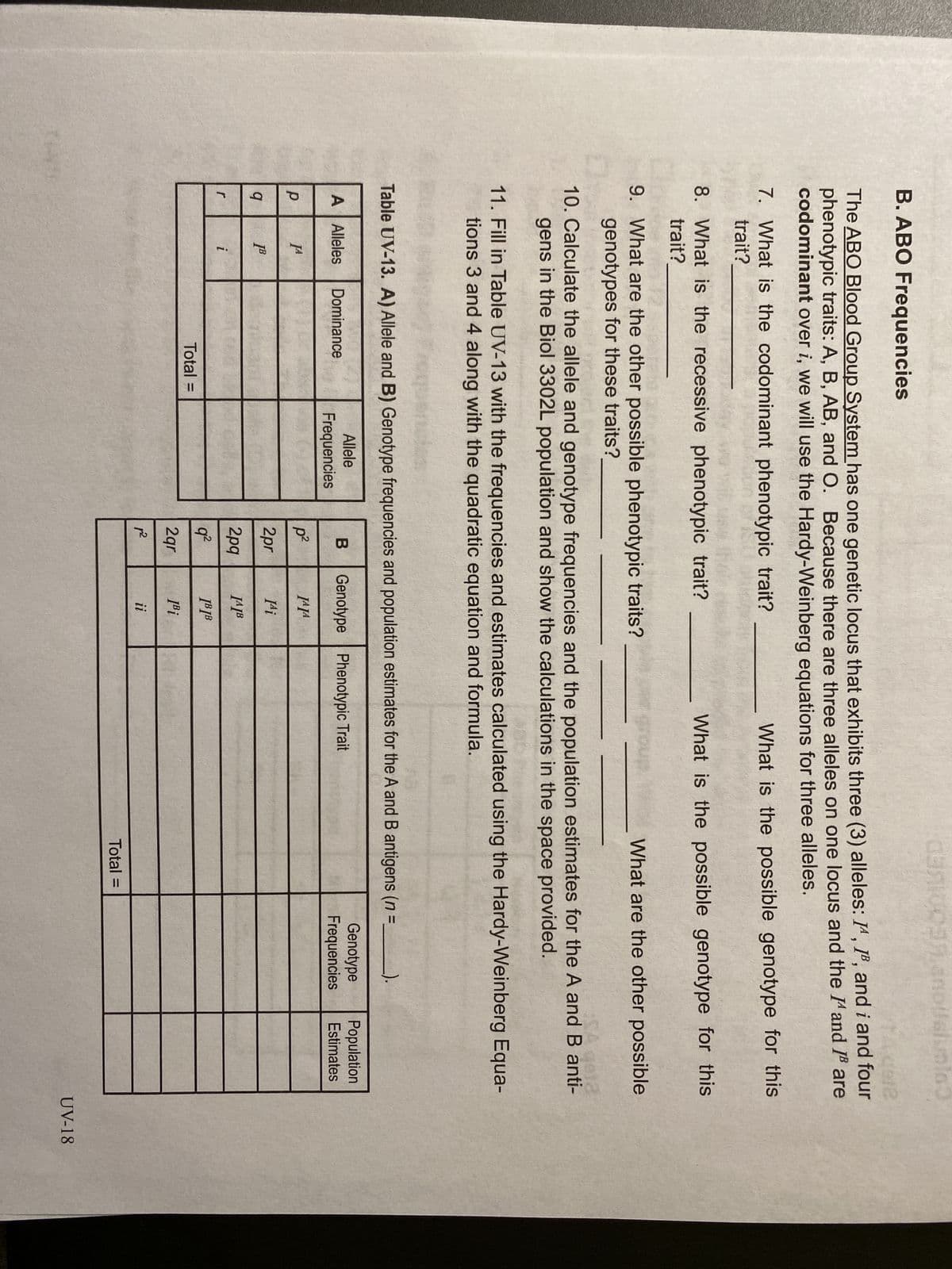 CINE
B. ABO Frequencies
14912
The ABO Blood Group System has one genetic locus that exhibits three (3) alleles: IA, IB³, and i and four
phenotypic traits: A, B, AB, and O. Because there are three alleles on one locus and the IA and I are
codominant over i, we will use the Hardy-Weinberg equations for three alleles.
What is the possible genotype for this
7. What is the codominant phenotypic trait?
trait?
8. What is the recessive phenotypic trait?
trait?
9. What are the other possible phenotypic traits?
genotypes for these traits?
What are the other possible
SA gel
10. Calculate the allele and genotype frequencies and the population estimates for the A and B anti-
gens in the Biol 3302L population and show the calculations in the space provided.
11. Fill in Table UV-13 with the frequencies and estimates calculated using the Hardy-Weinberg Equa-
tions 3 and 4 along with the quadratic equation and formula.
A Alleles Dominance
Table UV-13. A) Allele and B) Genotype frequencies and population estimates for the A and B antigens (n =_________).
р
9
r
JA
[B
i
Total =
Allele
Frequencies
dan0039.anoushunis
What is the possible genotype for this
B Genotype Phenotypic Trait
p²
2pr
2pq
q²
2gr
p²
JAJA
Ai
JAIB
IBIB
[Bi
ii
Total =
Genotype Population
Frequencies Estimates
UV-18