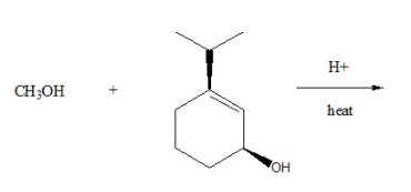 H+
CH;OH
heat
OH
+
