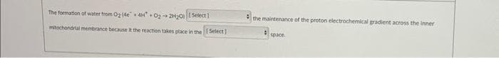 The formation of water from O2 (46-4H02-2H₂0) [Select]
mitochondrial membrance because it the reaction takes place in the [Select]
the maintenance of the proton electrochemical gradient across the inner
#
space.