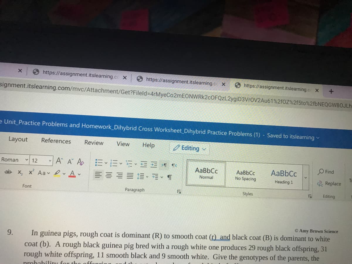 https://assignment.itslearning.c x
https://assignment.itslearning.cx
Shttps://assignment.itslearning.co x
signment.itslearning.com/mvc/Attachment/Get?Fileld34rMyeCo2mEONWRK2cOFQZL2ygiD3VrOV2Au61%2f0Z%2f5to%2fbNEQGW80JLh
e Unit_Practice Problems and Homework Dihybrid Cross Worksheet Dihybrid Practice Problems (1) Saved to itslearning
Layout
References
Review
View
Help
O Editing v
A A A
前、
Roman
12
O Find
AaBbCc
AaBbCc
A-
AaBbCc
No Spacing
Tm
S Replace
ab x, x Aav ev
Normal
Heading 1
Font
Paragraph
Styles
Editing
© Amy Brown Science
In guinea pigs, rough coat is dominant (R) to smooth coat (r) and black coat (B) is dominant to white
coat (b). A rough black guinea pig bred with a rough white one produces 29 rough black offspring, 31
rough white offspring, 11 smooth black and 9 smooth white. Give the genotypes of the parents, the
9.
prohabilitu for tho offonvin
