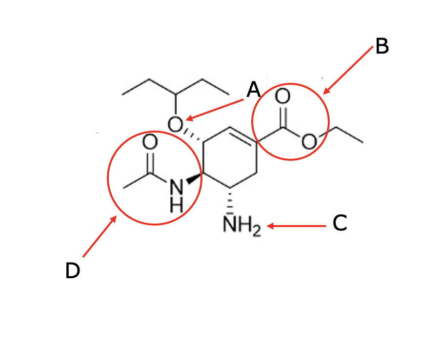 D
Ο
A
B
ZI
'N'
H
NH2
- C