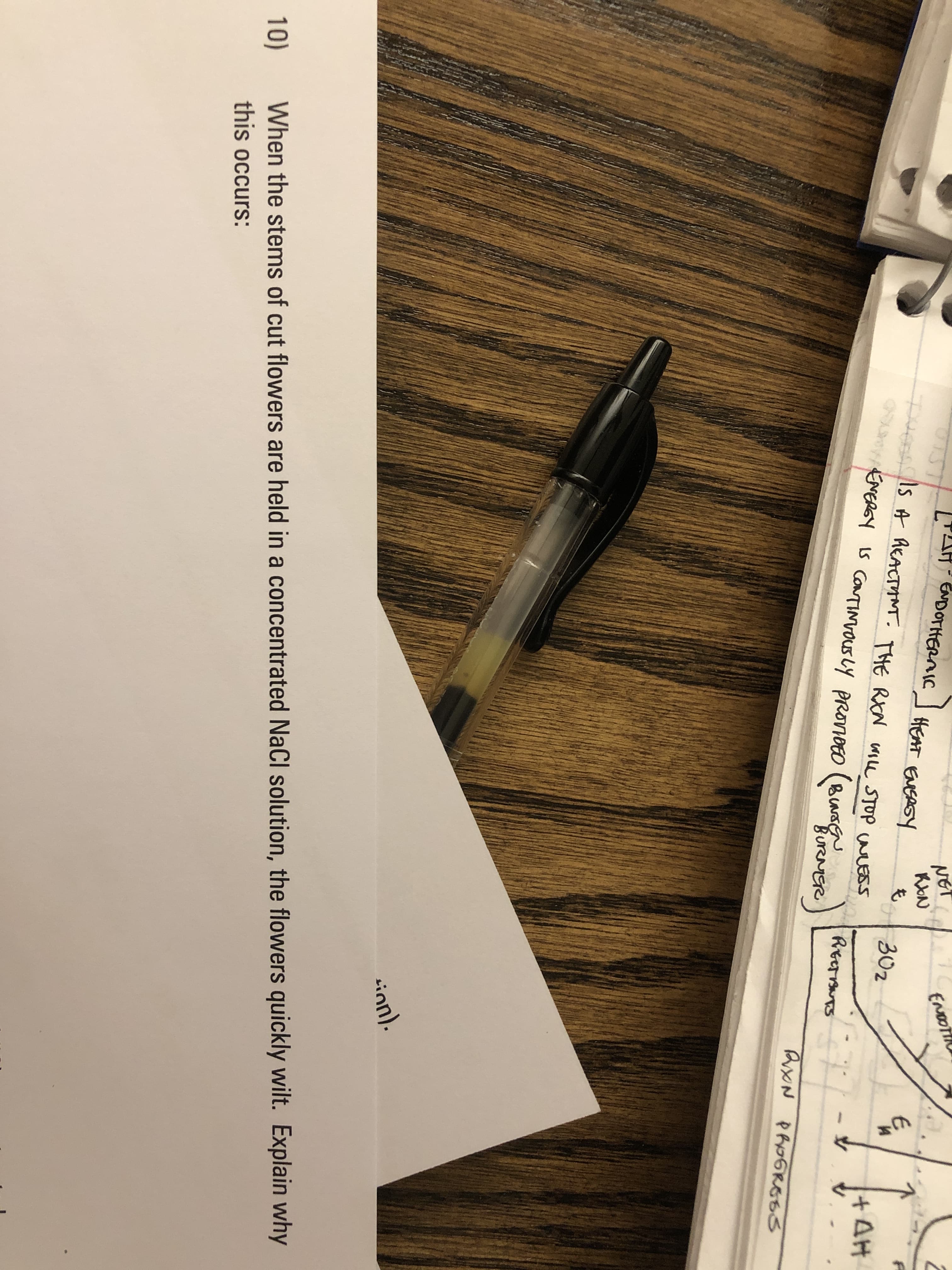 PAH ENDOTHERNIC
NET
RON
も
Purmals A REACTTNT. THE RXN wIle STOP wLESS -
ENDOTH
HEAT ENGAGY
ENERGY IS CoNTIvousLy pRonoEO (BLArER
| 30z
AH
RECTISNTS
BurRNTTe)
BURMER
sinn).
When the stems of cut flowers are held in a concentrated NaCl solution, the flowers quickly wilt. Explain why
this occurs:
10)
