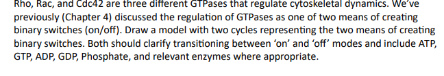 Rho, Rac, and Cdc42 are three different GTPases that regulate cytoskeletal dynamics. We've
previously (Chapter 4) discussed the regulation of GTPases as one of two means of creating
binary switches (on/off). Draw a model with two cycles representing the two means of creating
binary switches. Both should clarify transitioning between 'on' and 'off' modes and include ATP,
GTP, ADP, GDP, Phosphate, and relevant enzymes where appropriate.