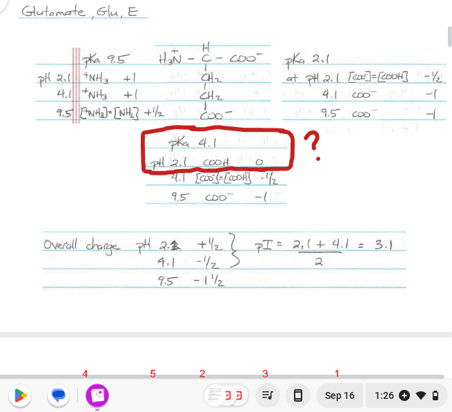 Glutamate, Glu, E
H
HƠN - C co
T
CH₂
pha 4,5
PH 2.1 +NH3 +1
4.1 *NH3
+1
CH₂
4,5 ENH2JINH 23 H2 có
-
pka 4.1
PH 2.1 COOH
4.1 [co] = [CODA] -1/2
9.5 CDD
Overall charge pH 2.3 +1/2
2
4.1
-1/₂ >
9.5 - 11/2
5
N
3
pka 2.1
at PH 2.1 [co] = [cook] - 1/₂
4.1
Coo
-1
9.5
4
All
)?
PI = 2₁1 + 4.1 = 3.1
2
COO
8
Sep 16
1:26 +
