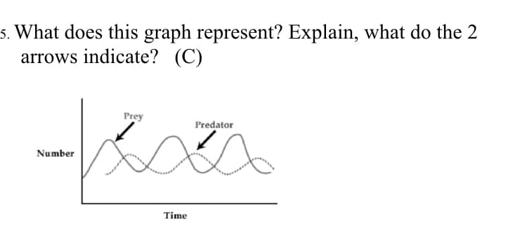5. What does this graph represent? Explain, what do the 2
arrows indicate? (C)
محمداد
Number
Prey
Time
Predator