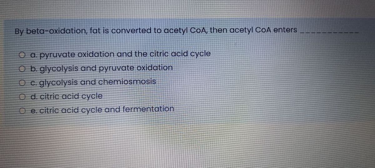 By beta-oxidation, fat is converted to acetyl CoA, then acetyl CoA enters
O a pyruvate oxidation and the citric acid cycle
O b. glycolysis and pyruvate oxidation
O c. glycolysis and chemiosmosis
O d. citric acid cycle
O e. citric acid cycle and fermentation
