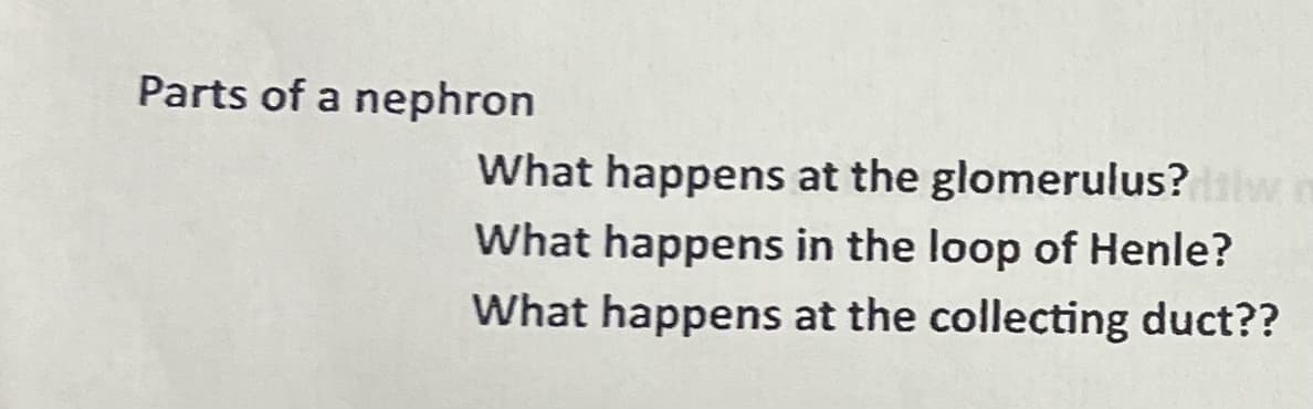 Parts of a nephron
What happens at the glomerulus?dalwo
What happens in the loop of Henle?
What happens at the collecting duct??