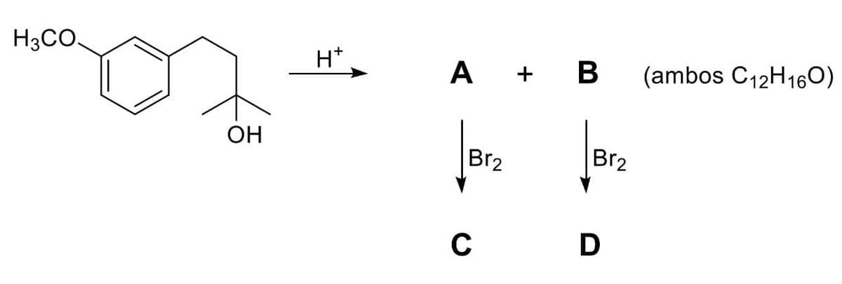 H3CO.
H*
А + В
(ambos C12H16O)
OH
Br2
Br2
D
